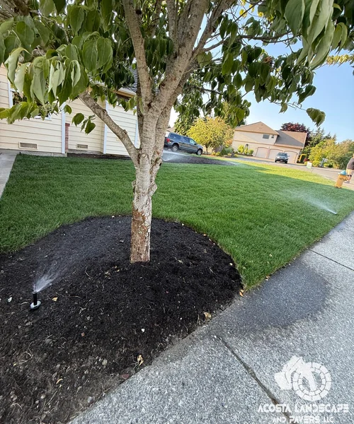 Contemporary Patio, Retaining Wall & Sod Renovation in Snohomish 